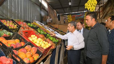 محافظ الغربية يتفقد منافذ ومعارض بيع السلع الغذائية بأسعار مخفضة بكفر الزيات وبسيون