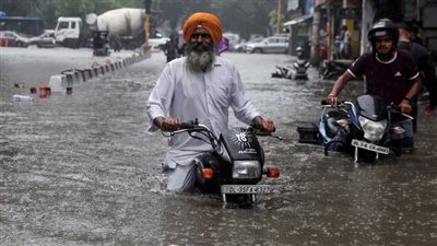 البرازيل: تسجيل 54 إصابة مؤكدة بمرض البريميات