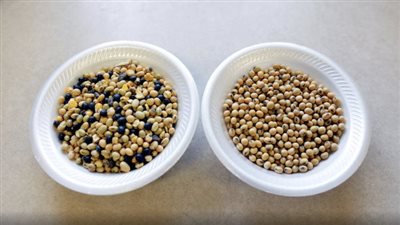 بريطانيا: روسيا قد تستهدف سفنا مدنية بالألغام في البحر الأسود