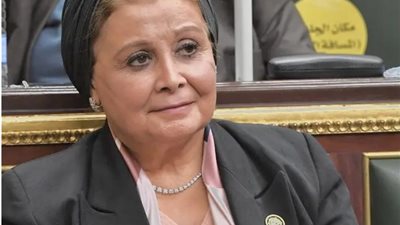 عبلة الألفي: نرفض تدخل البرلمان الأوروبي في الشئون الداخلية المصرية 