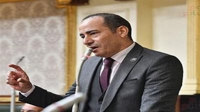 عضو بمجلس النواب للبرلمان الأوروبي: لا أحد يستطيع فرض وصايته على مصر