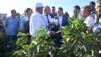 احتفالا بالعيد القومي.. محافظ الغربية يشهد بدء جني القطن