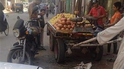 حملات لرفع الإشغالات بمختلف مراكز المنيا