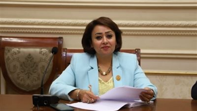 «برلمانية»: مصر تعلم جيدا بالمخططات الخبيثة الهادفة إلى توطين الفلسطينيين في سيناء