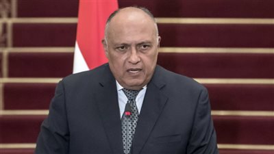 وزير الخارجية: اكتسبنا خبرة كبيرة بتنظيم الانتخابات ونعمل على تيسير إدلاء المواطنين بأصواتهم