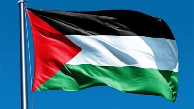 حماة الوطن: نقف صفا خلف الرئيس السيسي لدعم القضية الفلسطينية 
