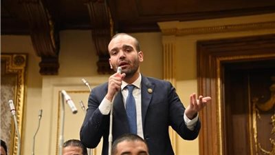 النائب كريم طلعت السادات: مصر هي الداعم والمساند الأول للقضية الفلسطينية