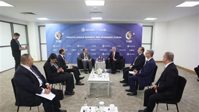 وزير التجارة يبحث إنشاء فروع للبنوك التركية في مصر