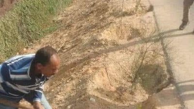 ضمن مبادرة الـ100 مليون.. زراعة 87 شجرة مثمرة بمركز مطاي