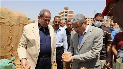 القاضي: المنيا فى المركز الثانى على مستوى الجمهورية توريدا للقمح