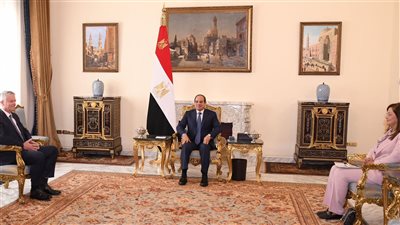 تفاصيل لقاء الرئيس السيسي وسكرتير عام منظمة التعاون الاقتصادي والتنمية