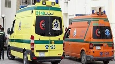 عاتبه على إيذاء كلب ضال.. عامل يأكل أذن جاره في حلوان