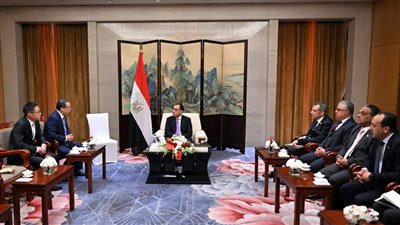 رئيس الوزراء يلتقي رئيس شركة 