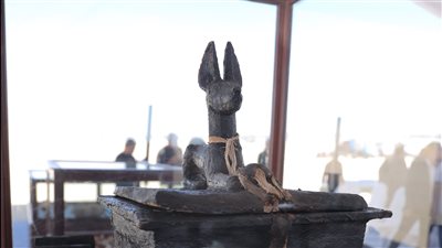 الكشف لأول مرة عن جبانة كبار موظفي وكهنة الدولة الحديثة بمنطقة الغريفة بتونا الجبل بالمنيا