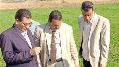 وزارة الزراعة تتابع الاستعداد لموسم المحاصيل الشتوية وبدء الدورة الزراعية بالقليوبية