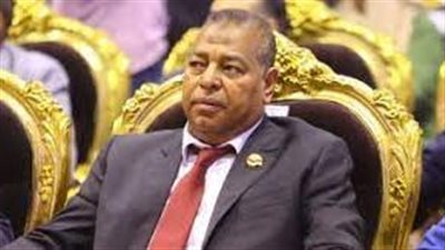 النقابة العامة للعاملين بالزراعة والري تدعم تصريحات السيسي بشأن غزة