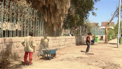 رفع 320 طن قمامة من شوارع وأحياء مدينة أسوان.. ومحاضر للمخالفين