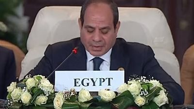 دبلوماسي سابق: قمة القاهرة للسلام أظهرت مواقف متباينة بشأن القضية الفلسطينية