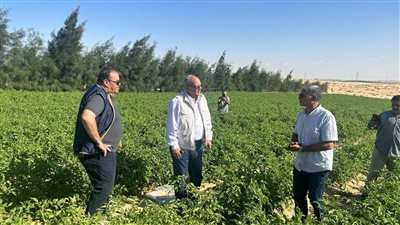 تفاصيل جولة رئيس مركز بحوث الصحراء بمحطات شمال سيناء