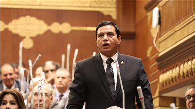 برلماني: قواتنا المسلحة جاهزة لحماية الأمن القومي المصري في السلم والحرب