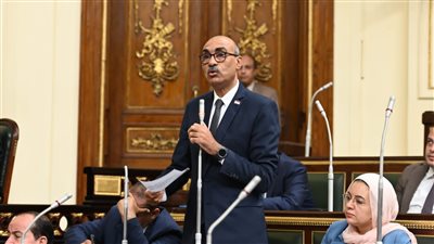 إيهاب منصور: مجلس الأمومة والطفولة لم يؤت ثماره حتى اللآن