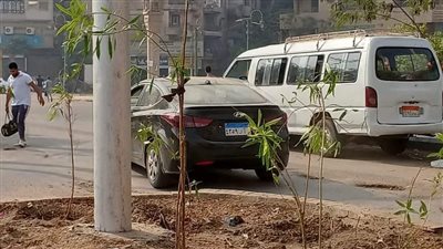 زراعة 212 شجرة مثمرة وزينة بمركزين في المنيا