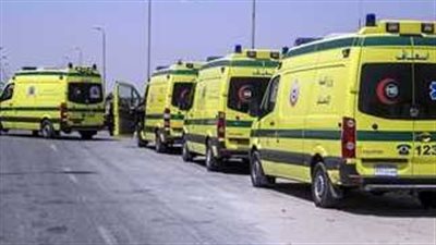 وفاة وإصابة 4 أشخاص فى حادث بشع بأسوان