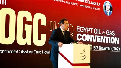 وزير البترول: إزالة الكربون أولوية في مصر.. وبوابة مصر للاستكشاف أولى خطواتنا الرقمية