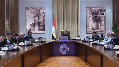 «مدبولي» يستعرض موقف ومتطلبات عدد من المصانع القائمة وتوسعاتها في بورسعيد