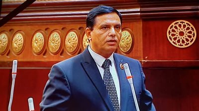 أمين عام حزب «حُماة الوطن»: هناك صراع وتنافس عالمي على موارد الطاقة التقليدية 