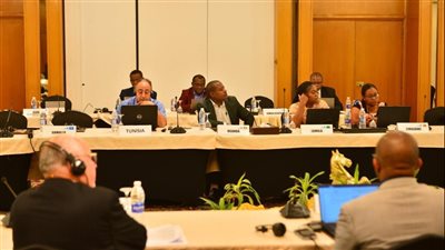 التنمية المستدامة وتحسين جودة الخدمات وكفاءة آليات الاتصال.. تفاصيل ختام الكوميسا بمصر