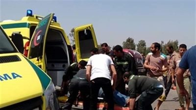 دهسه وفر هاربًا.. تفاصيل وفاة مزارع في حادث بشع بالمنيا