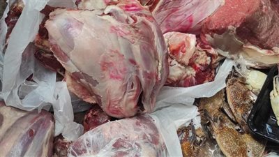 حملات تموينية موسعة وراء تحرير 1208 محضرا تموينيا وضبط أطنان غذائية مجهولة