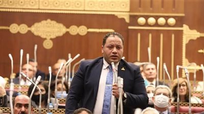 عضو بـ«الشيوخ»: الرئيس السيسي هدفه الحفاظ على سلامة المدنيين وحل القضية الفلسطينية