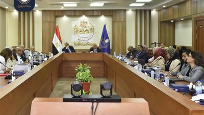 تفاصيل اجتماع هام للجنة صياغة الدستور الدوائي المصري.. تعرف على التفاصيل