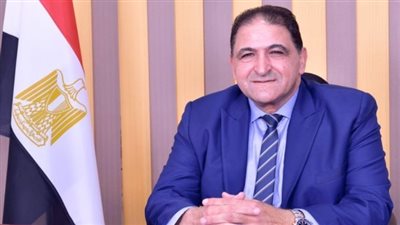 «برلماني»: مصر أدانت استهداف وقتل الأبرياء وترويع المدنيين في قطاع غزة منذ بداية الحرب