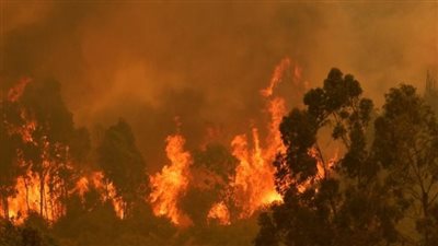 حريق يلتهم عددا هائلا من السيارات ويمتد بمساحة 6 ملاعب لكرة القدم