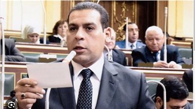 «برلماني»: قمة الرياض عقدت في توقيت «حساس» حيث تشهد فلسطين حربًا تشنها القوات الإسرائيلية