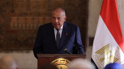 سامح شكرى يبحث مع نظيره البحرينى دفع جهود التهدئة فى المنطقة العربية