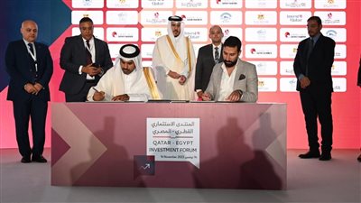 شعبة المستوردين: منتدى الاستثمار المصري القطري منصة مهمة لاستكشاف الفرص الاستثمارية