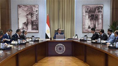 رئيس الوزراء يلتقي رئيس شركة 
