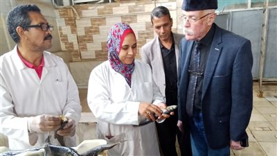 ضبط أسماك ورنجة فاسدة في حملة للطب البيطري بالغربية