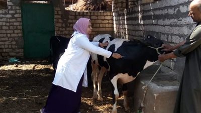 «بيطرى بأسوان»: فحص وعلاج وتحصين 4170 حيوانا