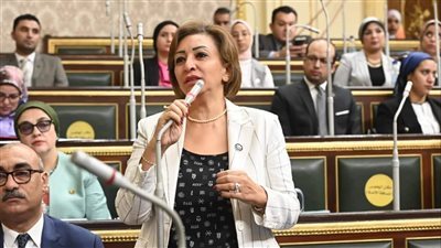 أول تحرك من البرلمان بشأن هجمات القرصنة الإلكترونية ومدى جاهزية الحكومة للمواجهة