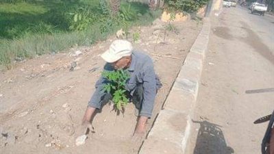 زراعة 114 شجرة مثمرة في مركزين بالمنيا ضمن مبادرة 100 مليون شجرة