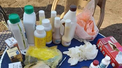 قافلة بيطرية إرشادية علاجية بقرية المحرص بمركز أبوقرقاص بالمنيا