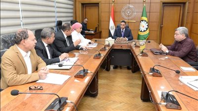 محافظ الدقهلية يناقش آلية تغطية المروى المجاورة لمساكن سندوب