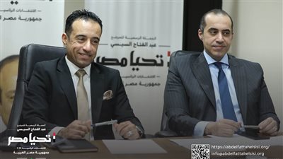 رئيس الحملة الانتخابية لـ«السيسي» يكشف عن إنجازات الدولة في «ملف المصريين بالخارج»