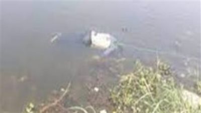 تفاصيل غرق مزارع داخل ترعة في مركز دار السلام بسوهاج 