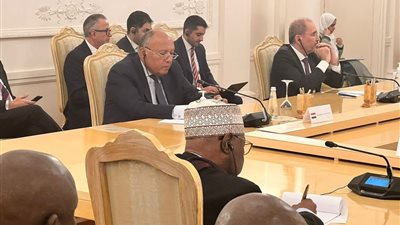 وزير الخارجية في موسكو يؤكد على رفض مصر لتهجير الفلسطينيين 